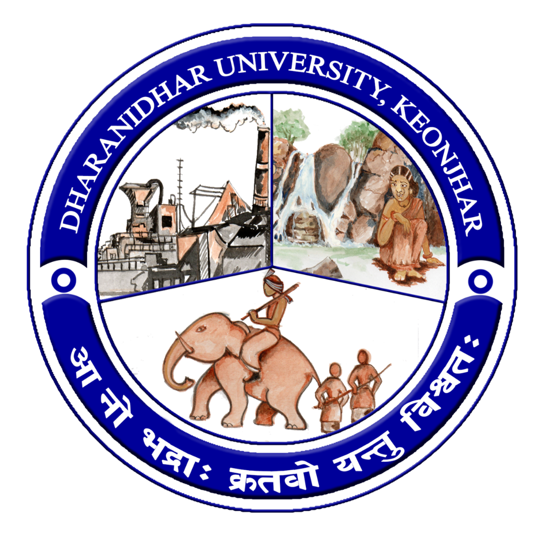 DD University logo